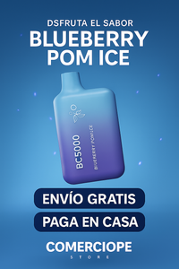 BLUEBERRY ICE